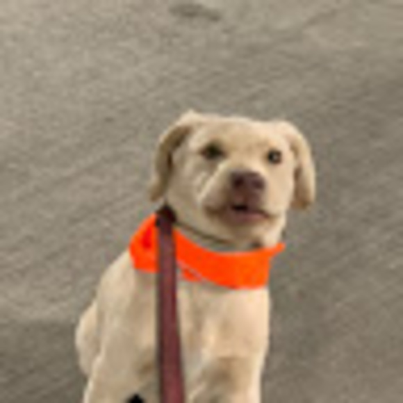 Meet your Posher, Kelly - Picture 1 of 1